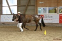 21-ApHC HMC_085